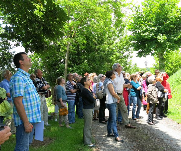 Le tour des remparts de Saint-Orens